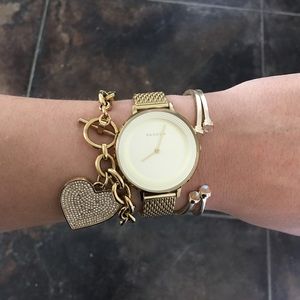 Skagen Watch